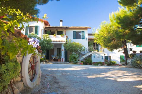 Property building, Street view