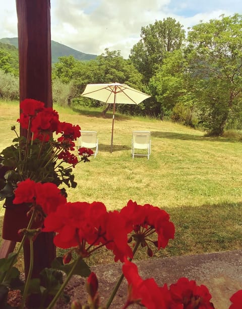 Garden, Garden view