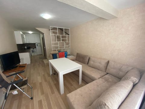 Communal lounge/ TV room, TV and multimedia, Kitchen or kitchenette, Living room, Seating area