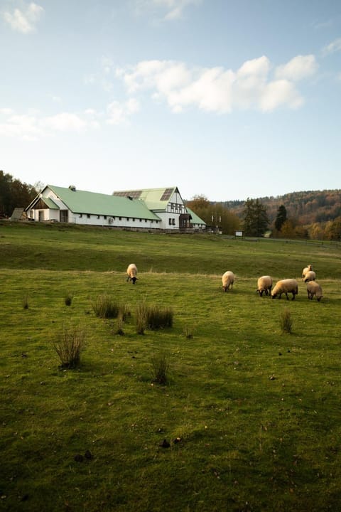 Property building, Natural landscape