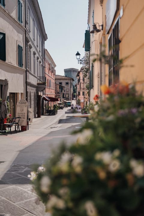 Neighbourhood, Street view