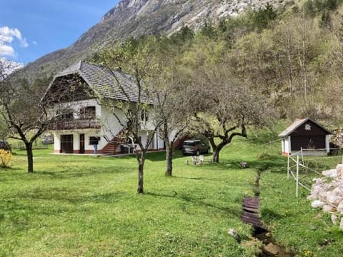 Property building, Garden, Garden view