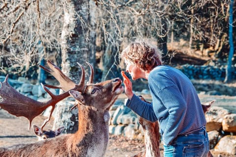 Animals
