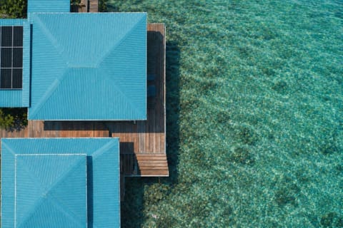 Property building, Snorkeling, Snorkeling, Beach, Beach, Sea view, Sea view