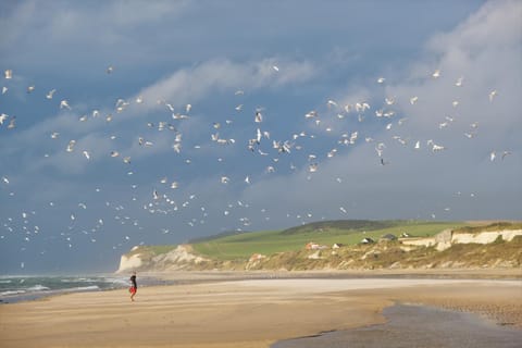 Nearby landmark, Natural landscape, Beach, Sea view