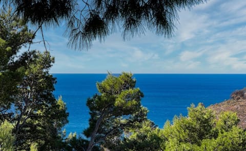 House in the pines House in Montenegro