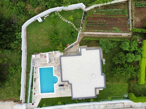 Bird's eye view, Garden view