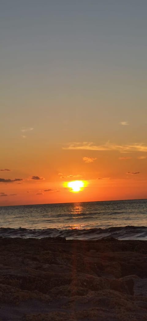 Appartement Baia delle mimose H9 Apartment in Sardinia