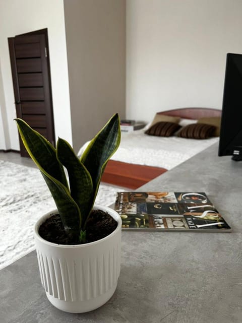 Living room, Photo of the whole room