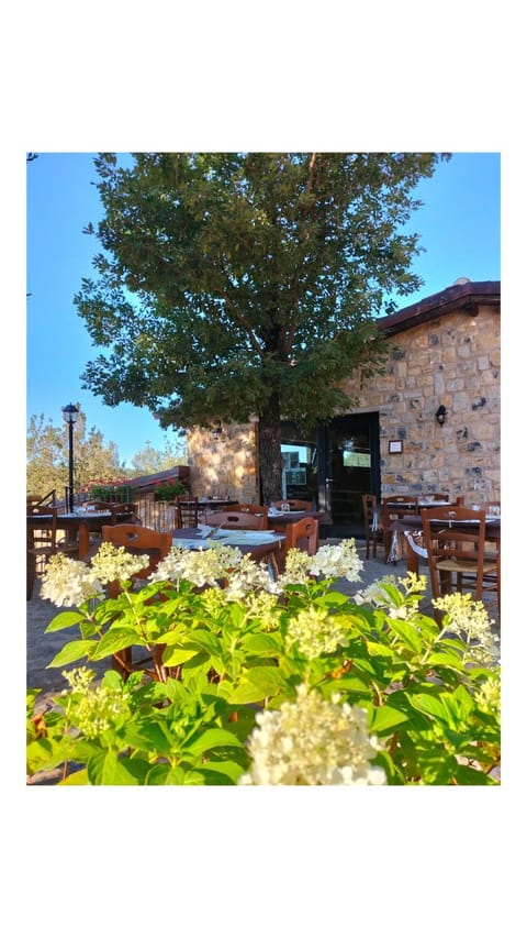 Property building, Breakfast, Italian breakfast