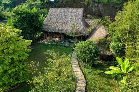 Day, Natural landscape, Garden