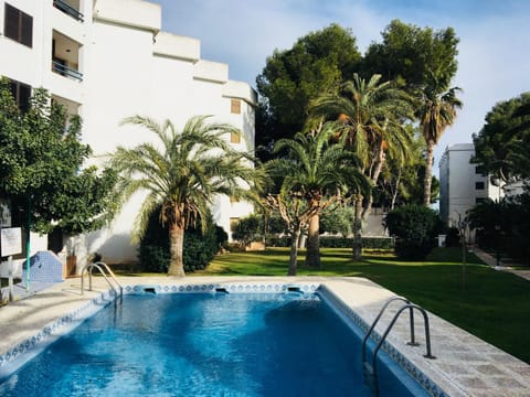 Property building, Day, Garden, Swimming pool