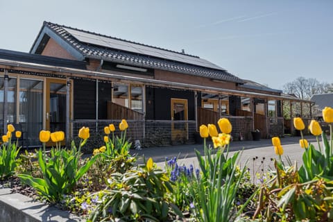 Property building, Patio, Garden, Swimming pool