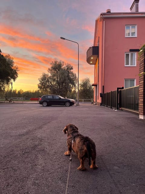 Bucco Suites Apartment in Finland