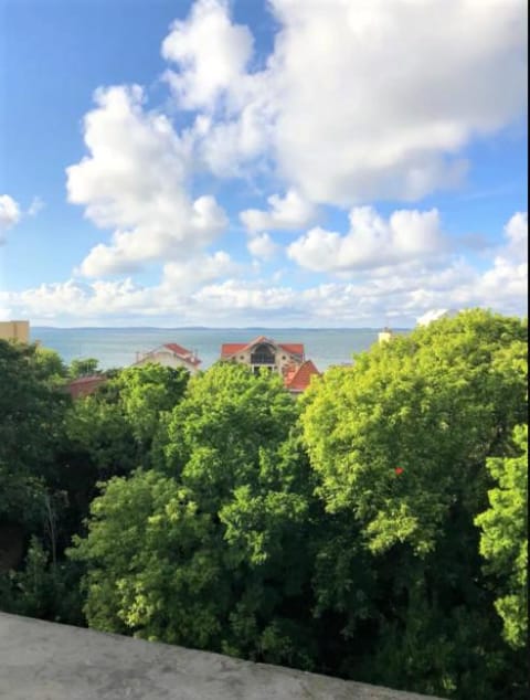Landmark view