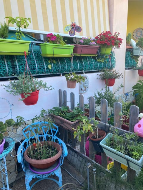 A casa di Oba, a pochi minuti dal mare (IUN P9041) Apartment in Pula