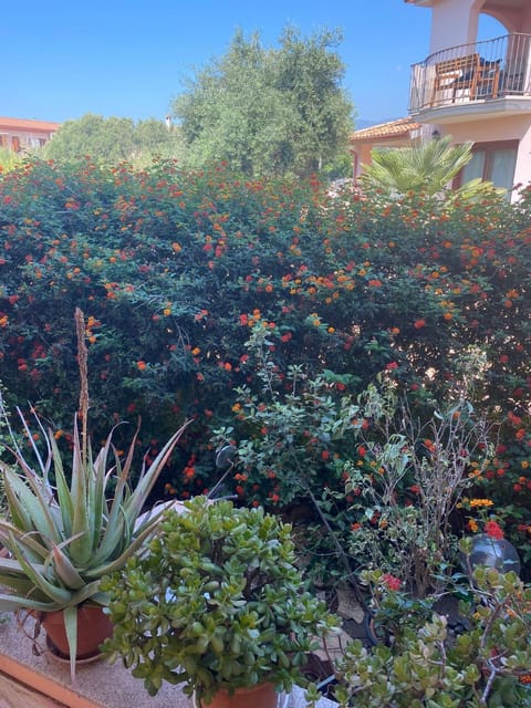 A casa di Oba, a pochi minuti dal mare (IUN P9041) Apartment in Pula