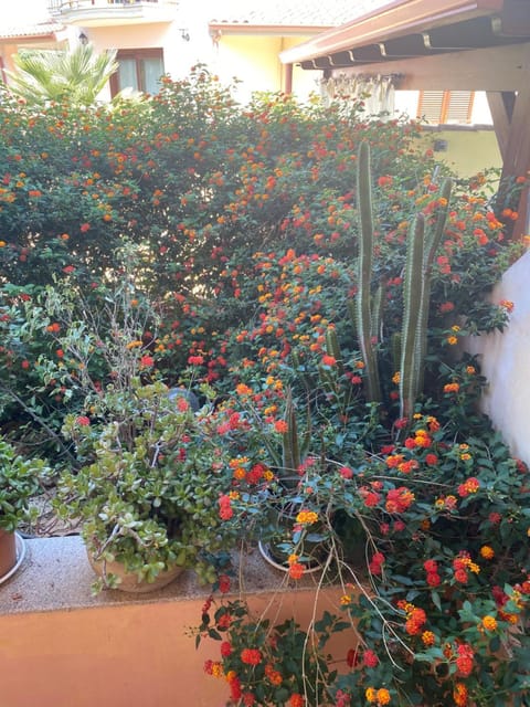 A casa di Oba, a pochi minuti dal mare (IUN P9041) Apartment in Pula