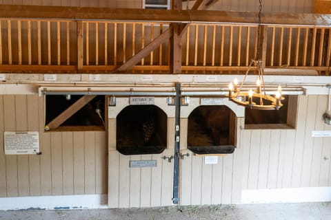 Nicura Ranch Inn & Stables Farm Stay in Berea