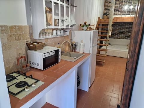 Kitchen or kitchenette, minibar, stove, toaster