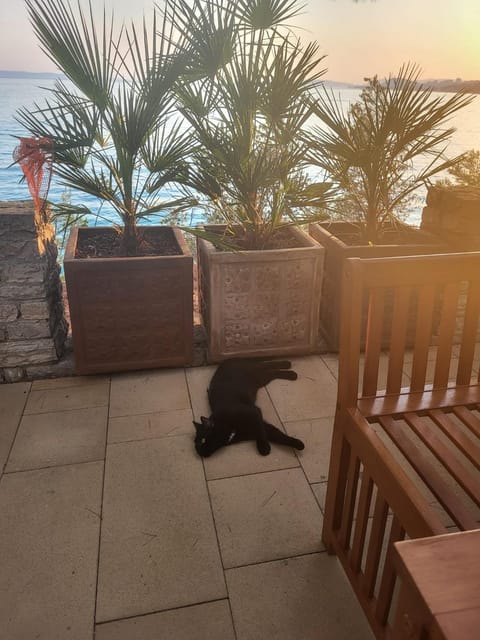 Patio, Natural landscape, View (from property/room), Sea view