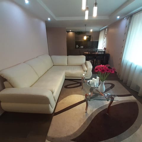 Jaukus butas Druskininkuose Apartment in Lithuania