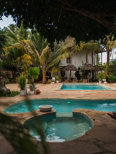 Patio, Day, Garden, Garden view, Pool view, Swimming pool