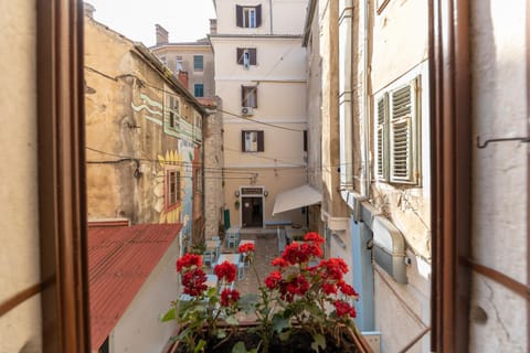 City view, Street view