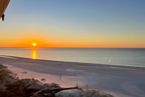 Palm Beach C52 House in Orange Beach