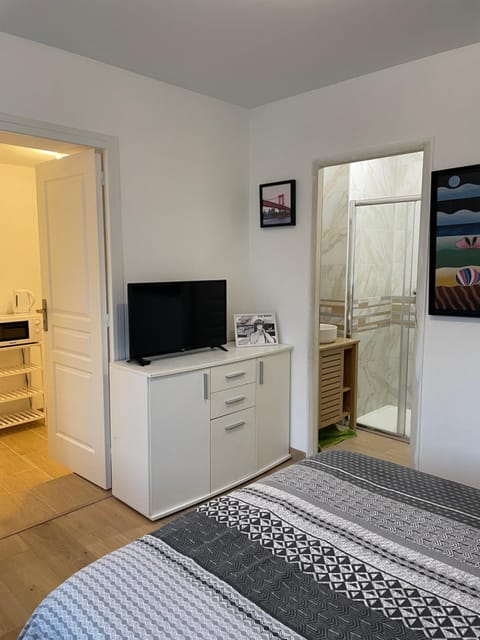 Bed, TV and multimedia, Kitchen or kitchenette, Photo of the whole room, Bedroom