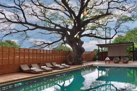 Swimming pool, Sports