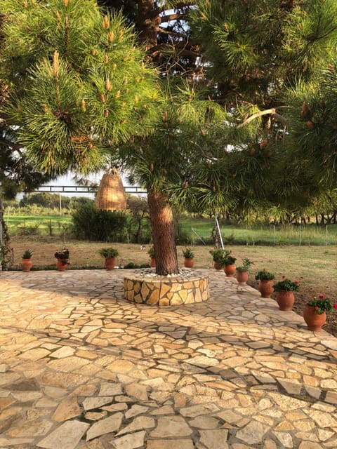 Seaside Retreat House Villa in Messenia