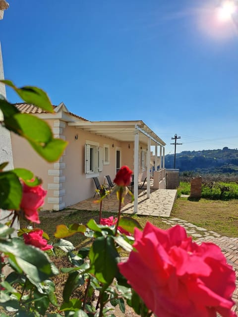 Property building, Natural landscape, Garden, Garden view