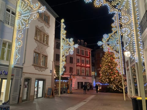 Gîte des Victoires Apartment in Mulhouse