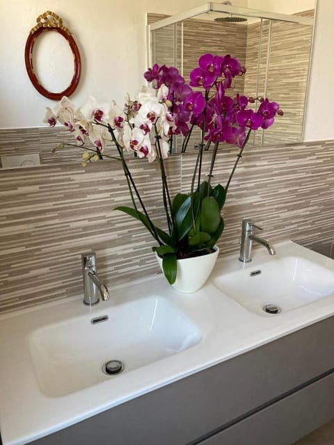 La Tillanzia Apartment in Liguria