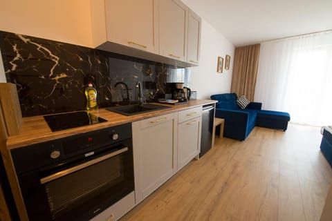 Kitchen or kitchenette, Seating area, oven, stove