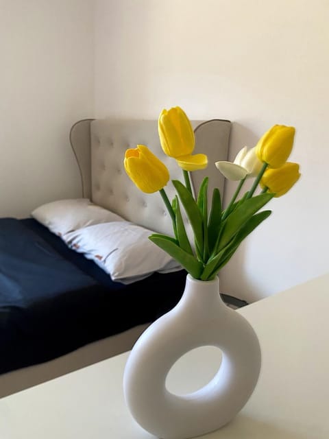 Apartment Lake story Apartment in Montenegro