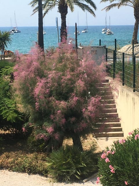 C'est la vie Apartment in Sanary-sur-Mer