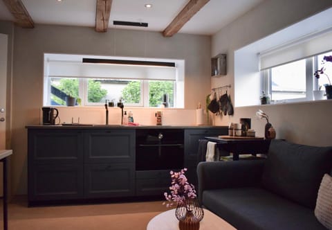 Living room, kitchen