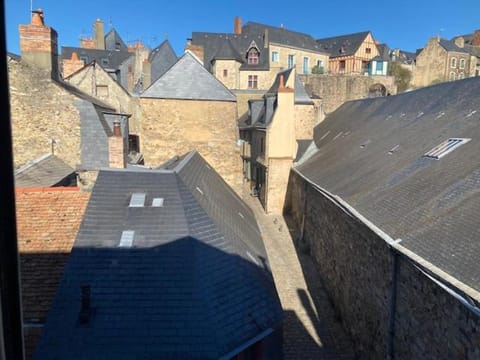 Hôtel du marquis De Broc Bed and Breakfast in Le Mans