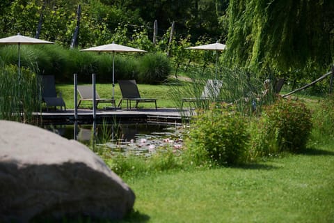 Garden view, Swimming pool