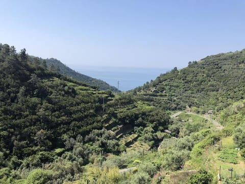 AL GEKO DEL GROPPO ☆ Breath & Relax ☆ 5 TERRE House in Cinque Terre