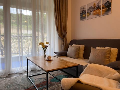 Apartment Pahuljica Apartment in Federation of Bosnia and Herzegovina