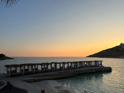 Olive Nest Apartment in Sarandë