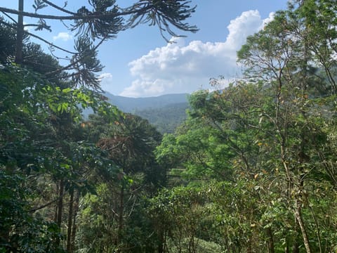 Casa Araucária House in State of Rio de Janeiro