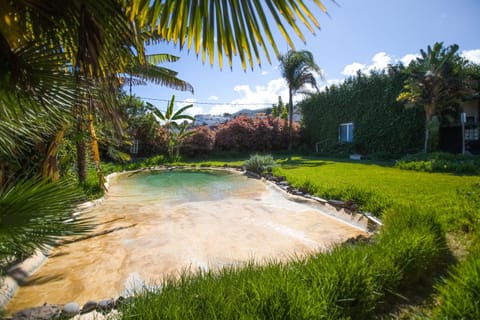 Garden, Garden view, Pool view
