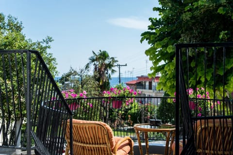 Patio, Balcony/Terrace