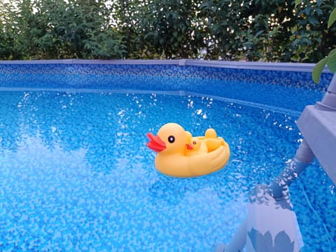 Garden, Swimming pool