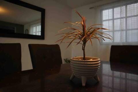 Suites Incoreli Apartment in Pachuca