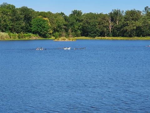 Hiking, Lake view